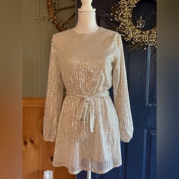 Forever 21 Dresses & Skirts - Forever 21 Shimmering Long Sleeve Dress size S